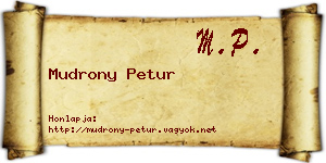 Mudrony Petur névjegykártya
