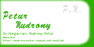 petur mudrony business card